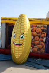 IMG 1828 1722393338 Fall Corn Maze Inflatable