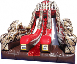 Raiders of the Lost Temple - Double Lane Slide